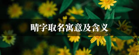 有晴的名字|晴字取名的寓意 晴和什么字组合更搭配